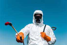 Best Termite Inspection and Treatment  in Williamsburg, KY